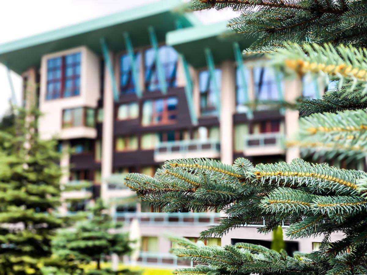 Silver Mountain โปยานาบราซอฟ ภายนอก รูปภาพ