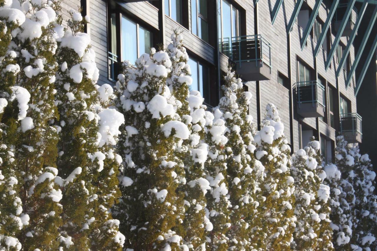 Silver Mountain โปยานาบราซอฟ ภายนอก รูปภาพ