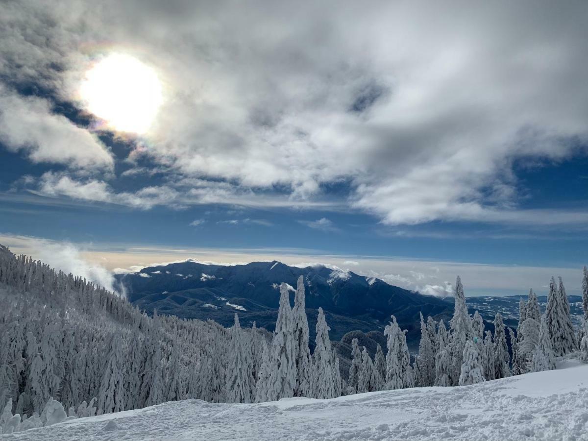 Silver Mountain โปยานาบราซอฟ ภายนอก รูปภาพ