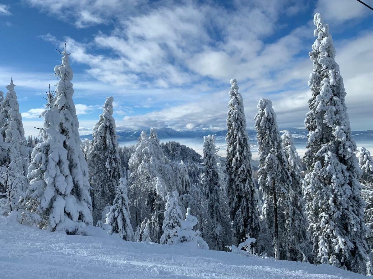 Silver Mountain โปยานาบราซอฟ ภายนอก รูปภาพ