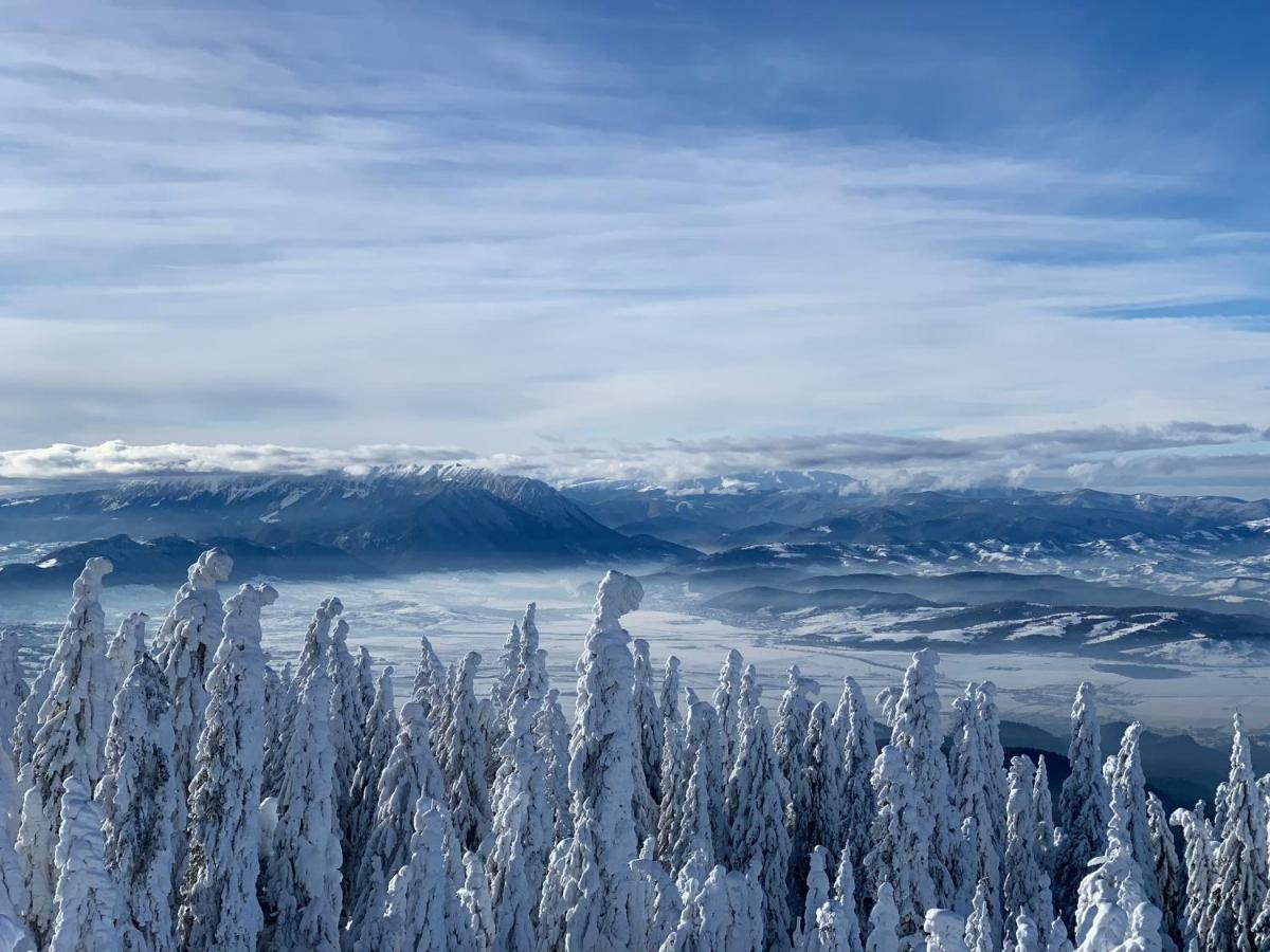 Silver Mountain โปยานาบราซอฟ ภายนอก รูปภาพ