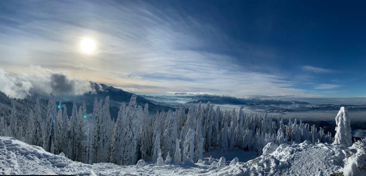 Silver Mountain โปยานาบราซอฟ ภายนอก รูปภาพ